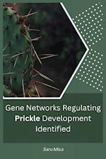 Gene Networks Regulating Prickle Development Identified