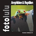 Amphibien & Reptilien