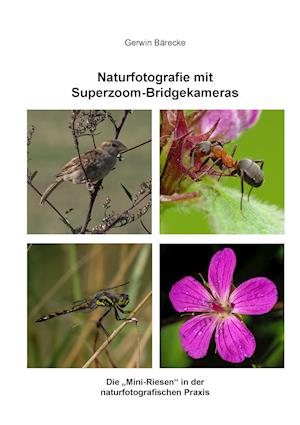 Naturfotografie mit Superzoom-Bridgekameras