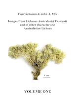 Images from Lichenes Australasici Exsiccati and of other characteristic Australasian Lichens. Volume One