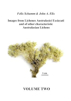 Images from Lichenes Australasici Exsiccati and of other characteristic Australasian Lichens. Volume Two