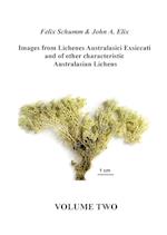 Images from Lichenes Australasici Exsiccati and of other characteristic Australasian Lichens. Volume Two