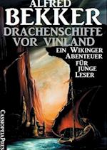 Drachenschiffe VOR Vinland