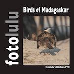 Birds of Madagaskar