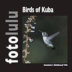 Birds of Kuba
