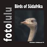 Birds of Südafrika