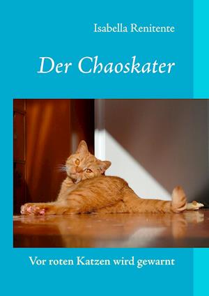 Der Chaoskater - Vor roten Katzen wird gewarnt