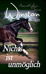 Winston - Nichts ist unmöglich