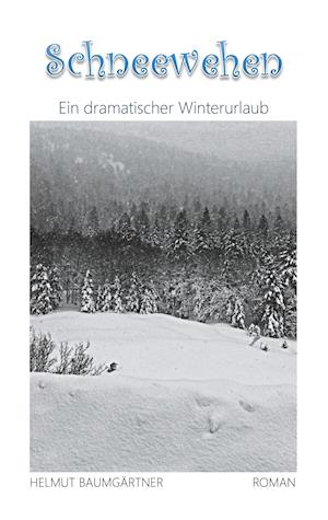 Schneewehen