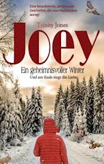 Joey Ein geheimnisvoller Winter