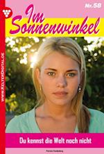 Im Sonnenwinkel 58 – Familienroman