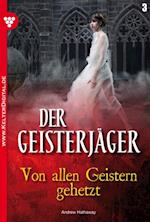 Der Geisterjäger 3 – Gruselroman