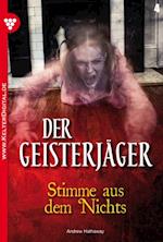 Der Geisterjäger 4 – Gruselroman