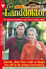 Der neue Landdoktor 17 – Arztroman