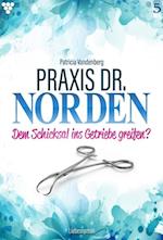 Praxis Dr. Norden 5 – Arztroman