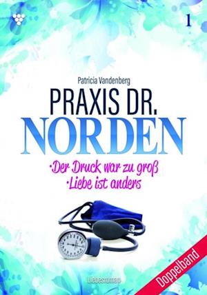 Praxis Dr. Norden Doppelband 1 - Arztroman