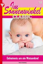 Im Sonnenwinkel Classic 15 – Familienroman