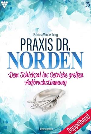 Praxis Dr. Norden 3 – Arztroman