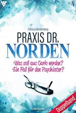 Praxis Dr. Norden 4 – Arztroman