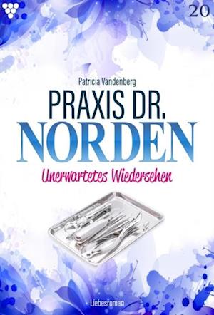 Praxis Dr. Norden 20 – Arztroman