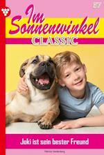 Im Sonnenwinkel Classic 57 – Familienroman