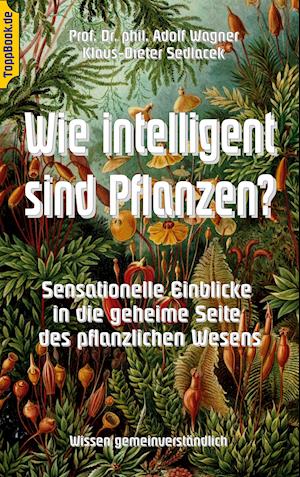 Wie intelligent sind Pflanzen?