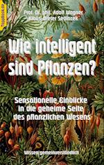 Wie intelligent sind Pflanzen?