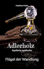 Adlerholz - Aquilaria agallocha