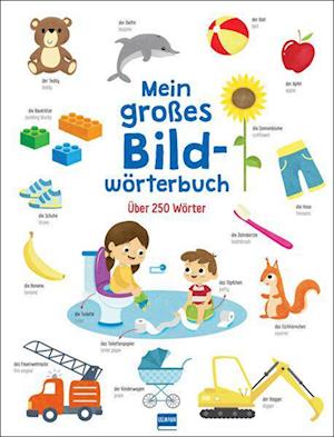 Mein großes Bildwörterbuch