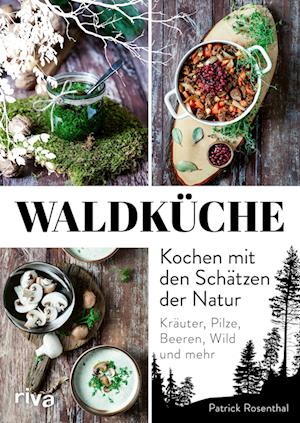 Waldküche: Kochen mit den Schätzen der Natur