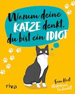 Warum deine Katze denkt, du bist ein Idiot