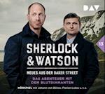 Sherlock & Watson - Neues aus der Baker Street: Das Abenteuer mit dem Blutdiamanten (Fall 13)