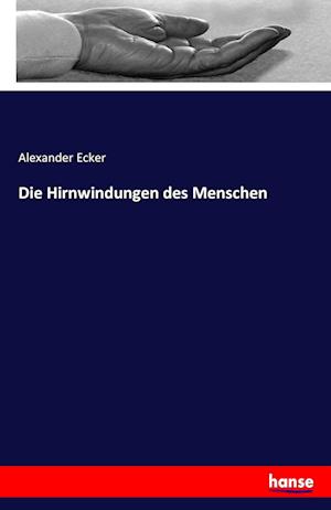 Die Hirnwindungen des Menschen