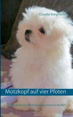 Motzkopf auf vier Pfoten