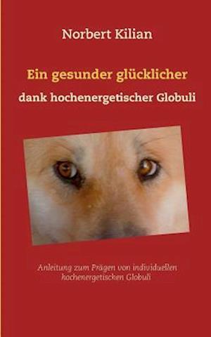 Ein gesunder glücklicher Hund dank hochenergetischer Globuli