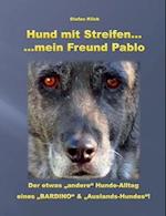 Hund mit Streifen ...