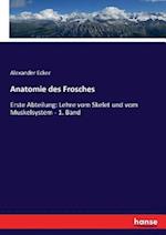 Anatomie des Frosches