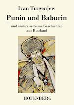 Punin Und Baburin