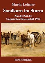 Sandkorn im Sturm