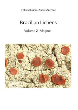 Brazilian Lichens