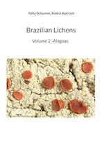 Brazilian Lichens