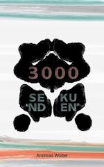 3000 Sekunden