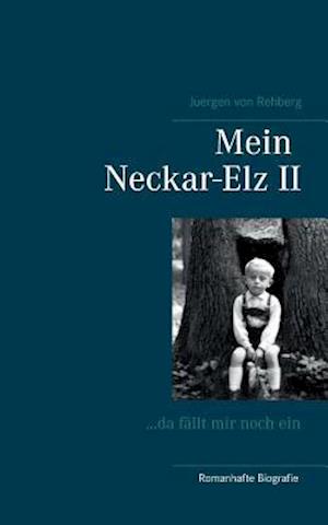 Mein Neckar-Elz II