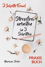 Stress bewältigen am Arbeitsplatz: IN 3 SCHRITTEN DEINEN STRESS BEWÄLTIGEN UND DAUERHAFT STRESSFREI ARBEITEN! Praxisbuch für entspanntes Arbeiten ohne Stress und Zeitdruck  (Inkl. 3 Schritte Praxisprogramm zum Stress bewältigen im Job!)