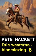 Drie westerns - bloemlezing 6