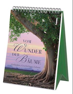 Vom Wunder der Bäume