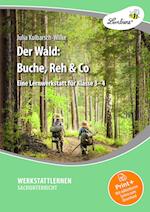 Der Wald: Buche, Reh & Co