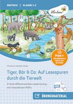 Tiger, Bär & Co: Auf Lesespuren durch die Tierwelt