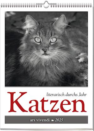 Katzen - Literarisch durchs Jahr 2025