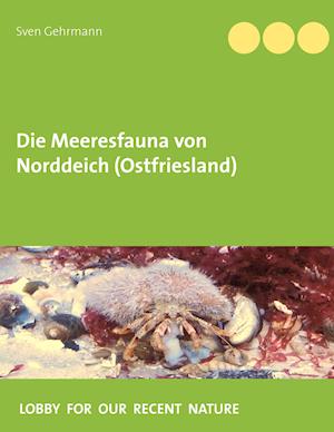 Die Meeresfauna von Norddeich (Ostfriesland)